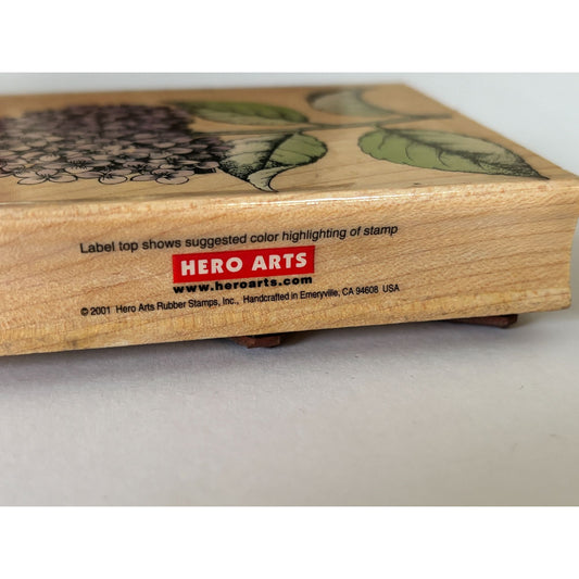 Hero Arts Rubber Stamp Hydrangea Bloom with Leaves Spring Garden Cardmaking Big