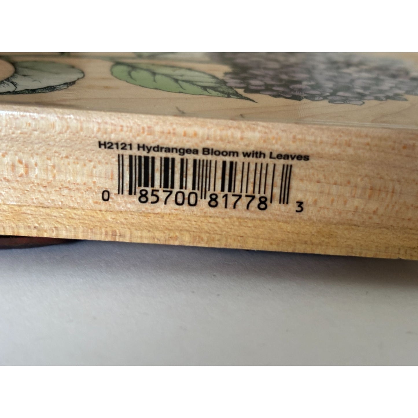 Hero Arts Rubber Stamp Hydrangea Bloom with Leaves Spring Garden Cardmaking Big