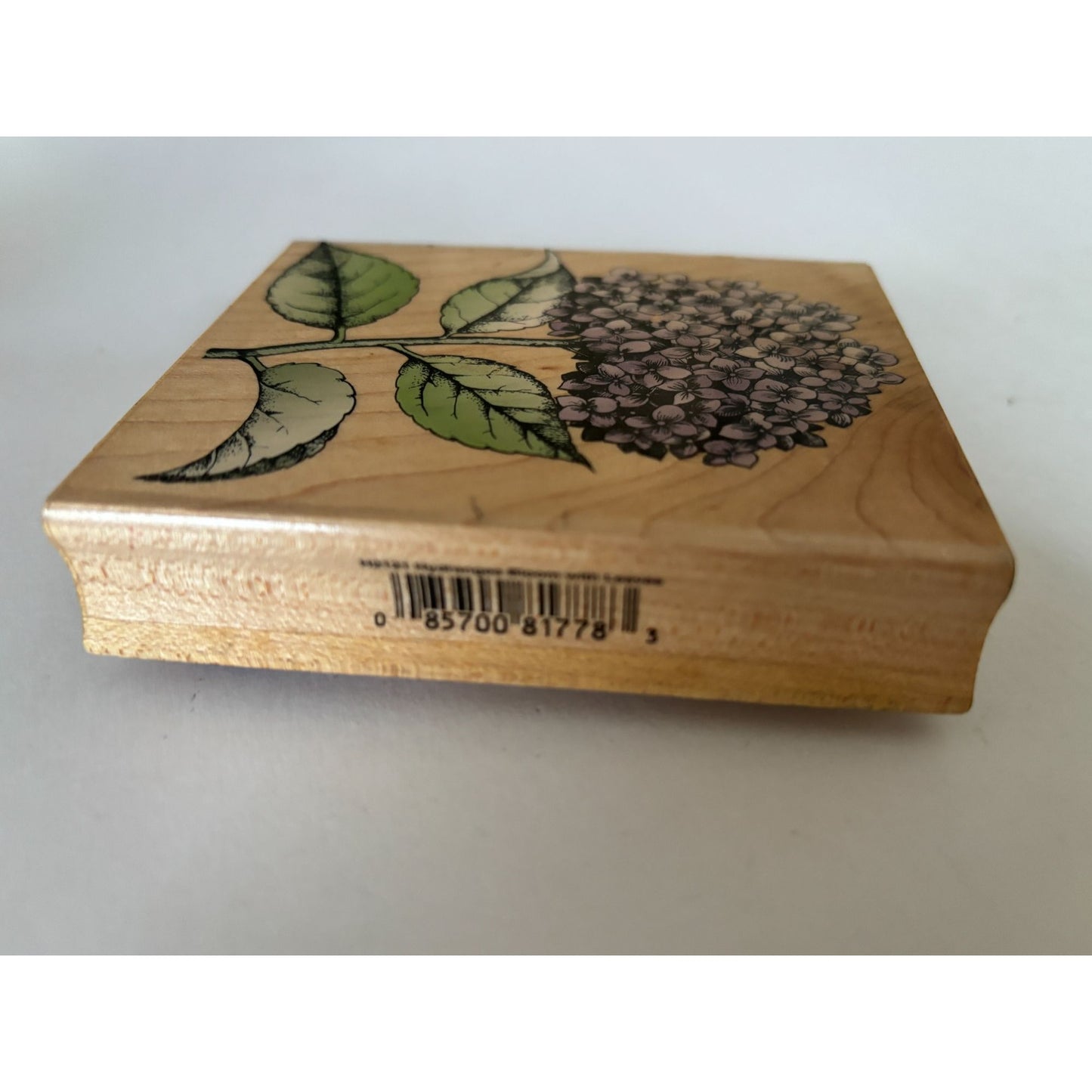 Hero Arts Rubber Stamp Hydrangea Bloom with Leaves Spring Garden Cardmaking Big
