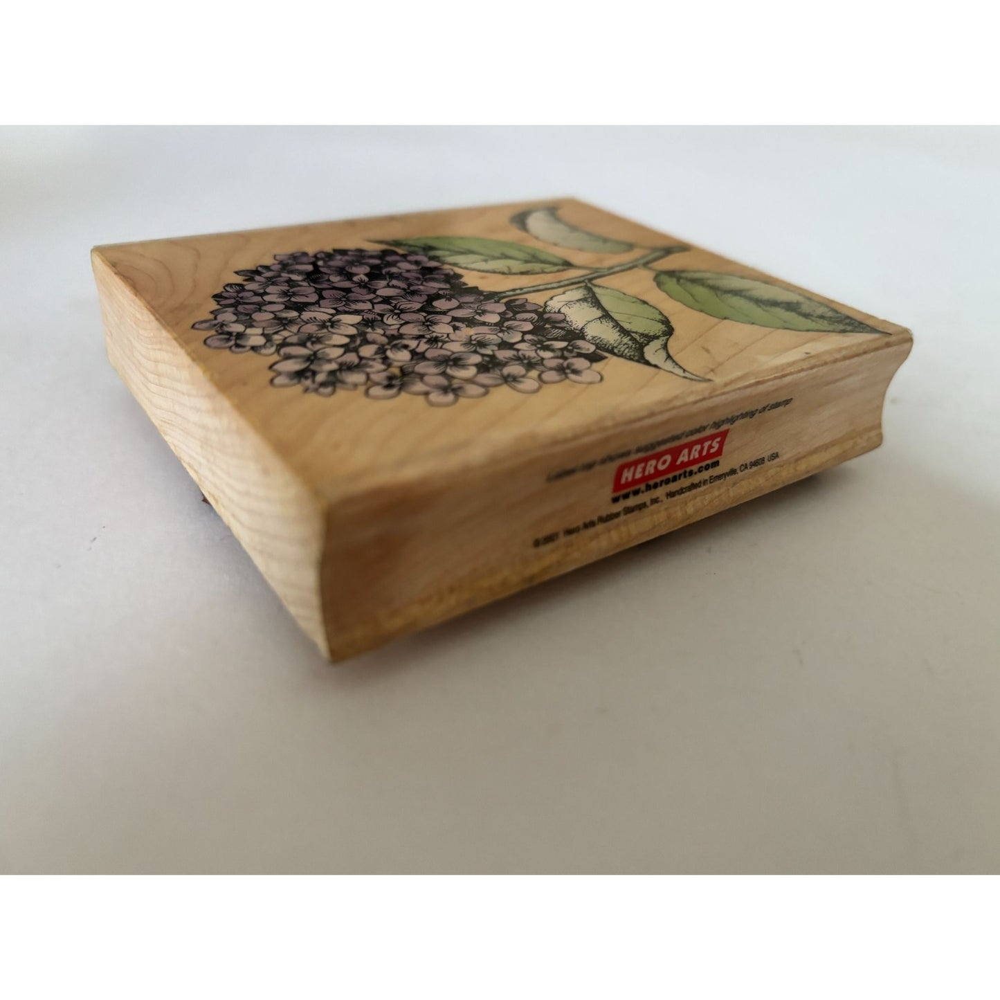 Hero Arts Rubber Stamp Hydrangea Bloom with Leaves Spring Garden Cardmaking Big