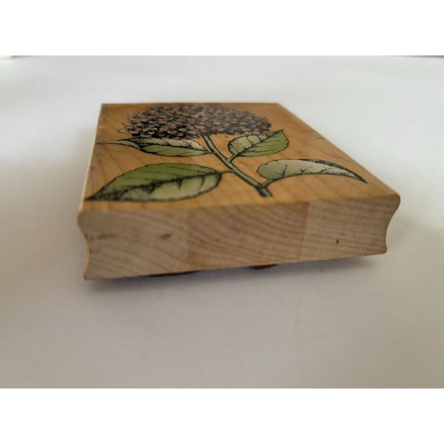 Hero Arts Rubber Stamp Hydrangea Bloom with Leaves Spring Garden Cardmaking Big