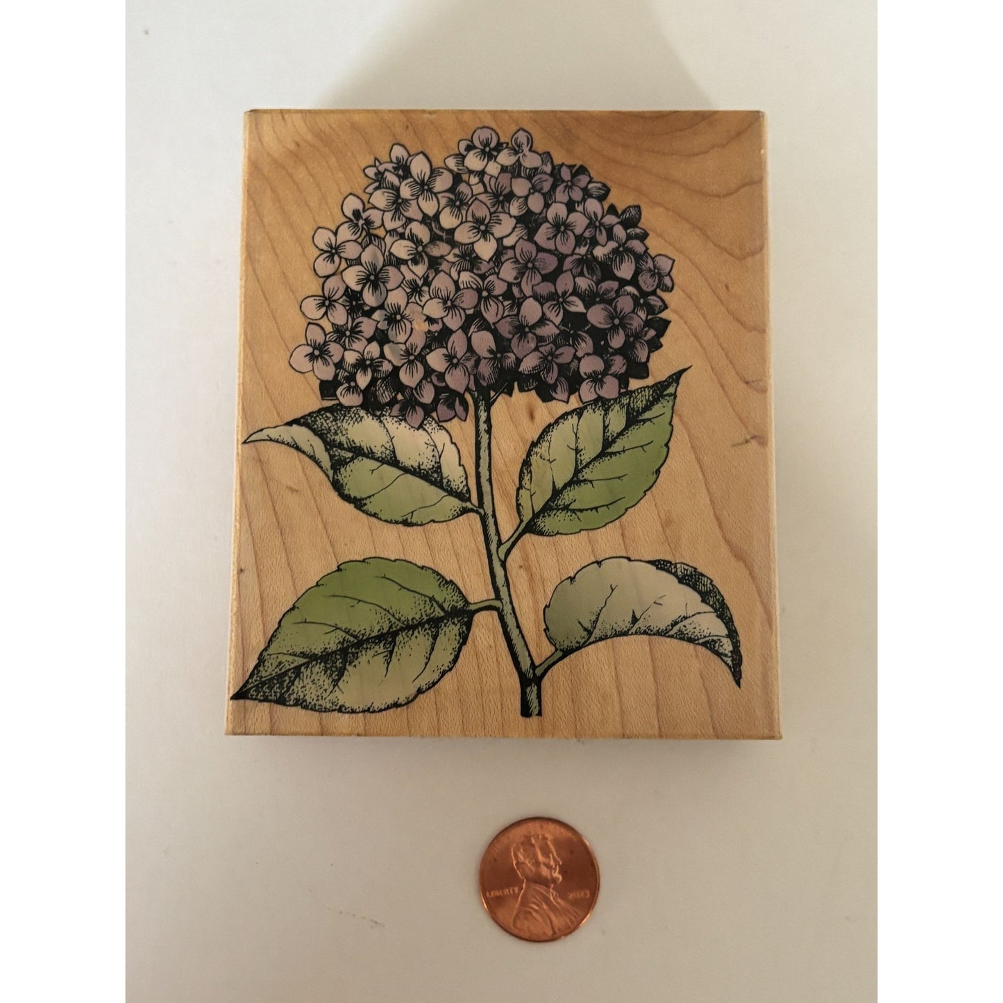 Hero Arts Rubber Stamp Hydrangea Bloom with Leaves Spring Garden Cardmaking Big
