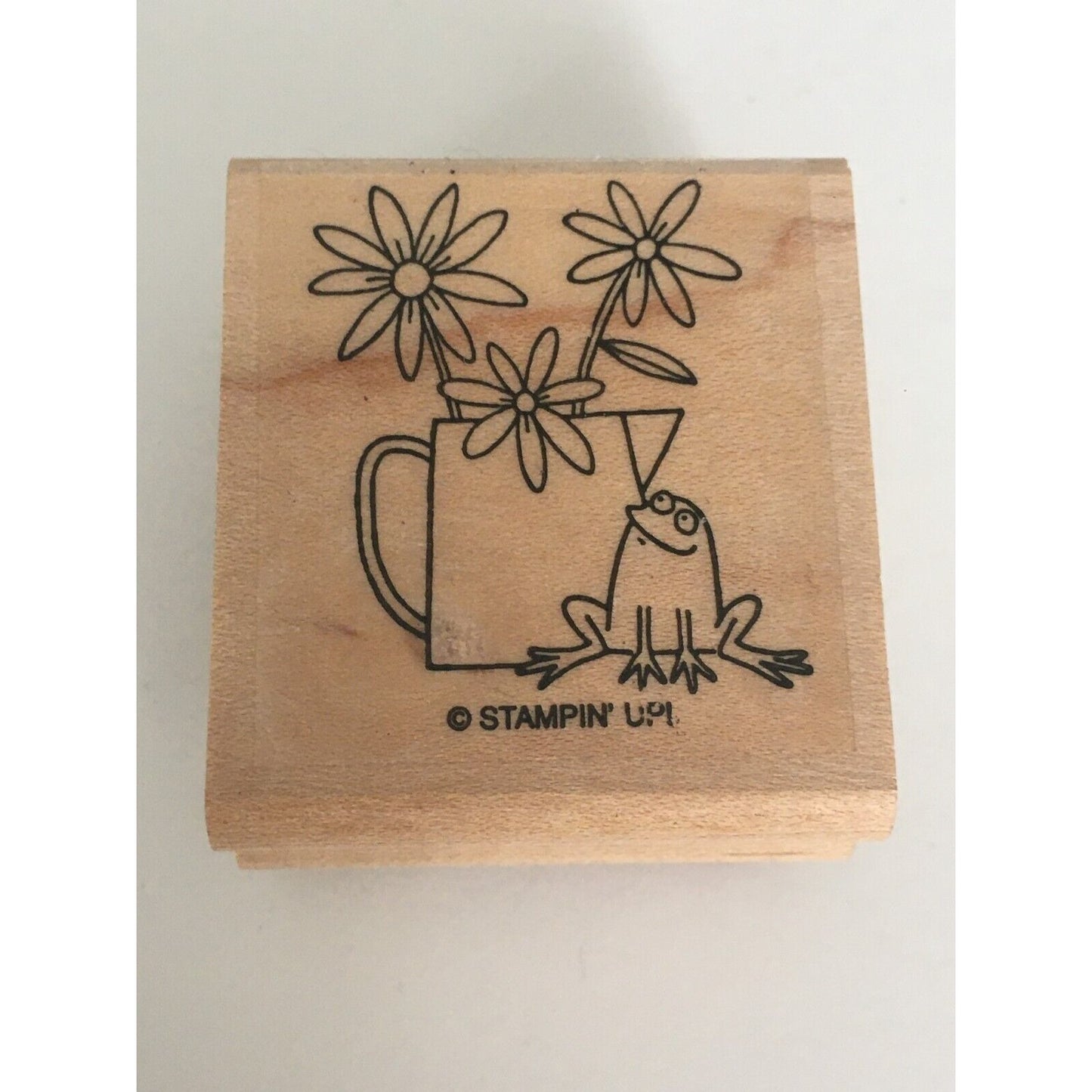Stampin Up Rubber Stamp Daisies Potted Plant Frog Garden Nature Spring Crafts