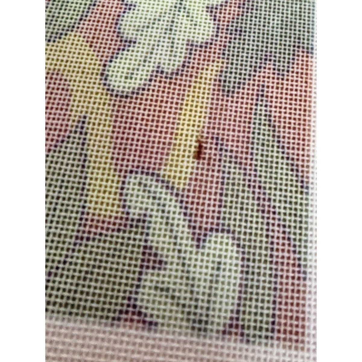 Biblical Needlepoint Canvas Set 4 Garden of Eden Noah Dove Lion Lamb Jonah Whale