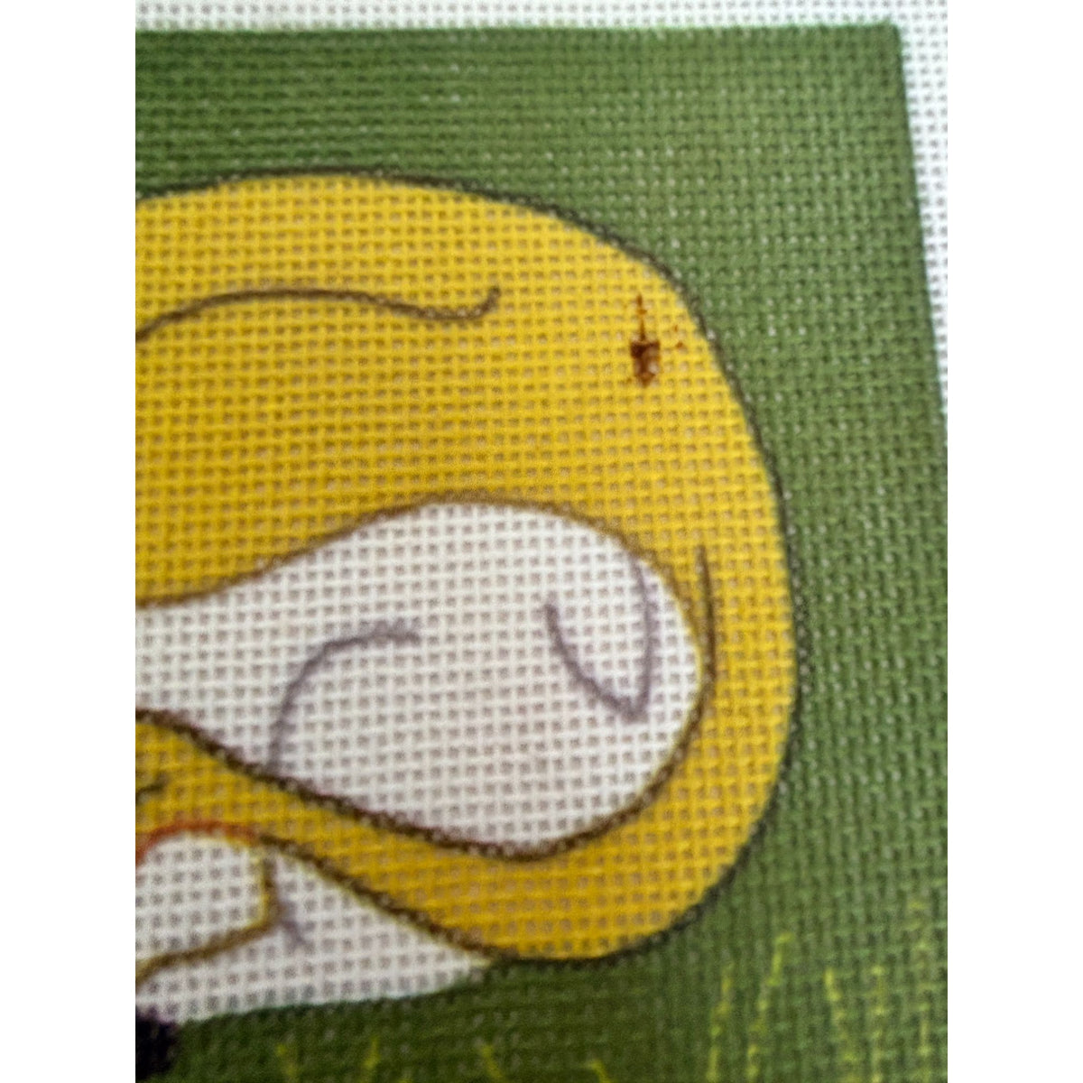 Biblical Needlepoint Canvas Set 4 Garden of Eden Noah Dove Lion Lamb Jonah Whale