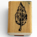 Stampin Up Rubber Stamp Leaf Nature Fall Season Outdoors Card Making Craft