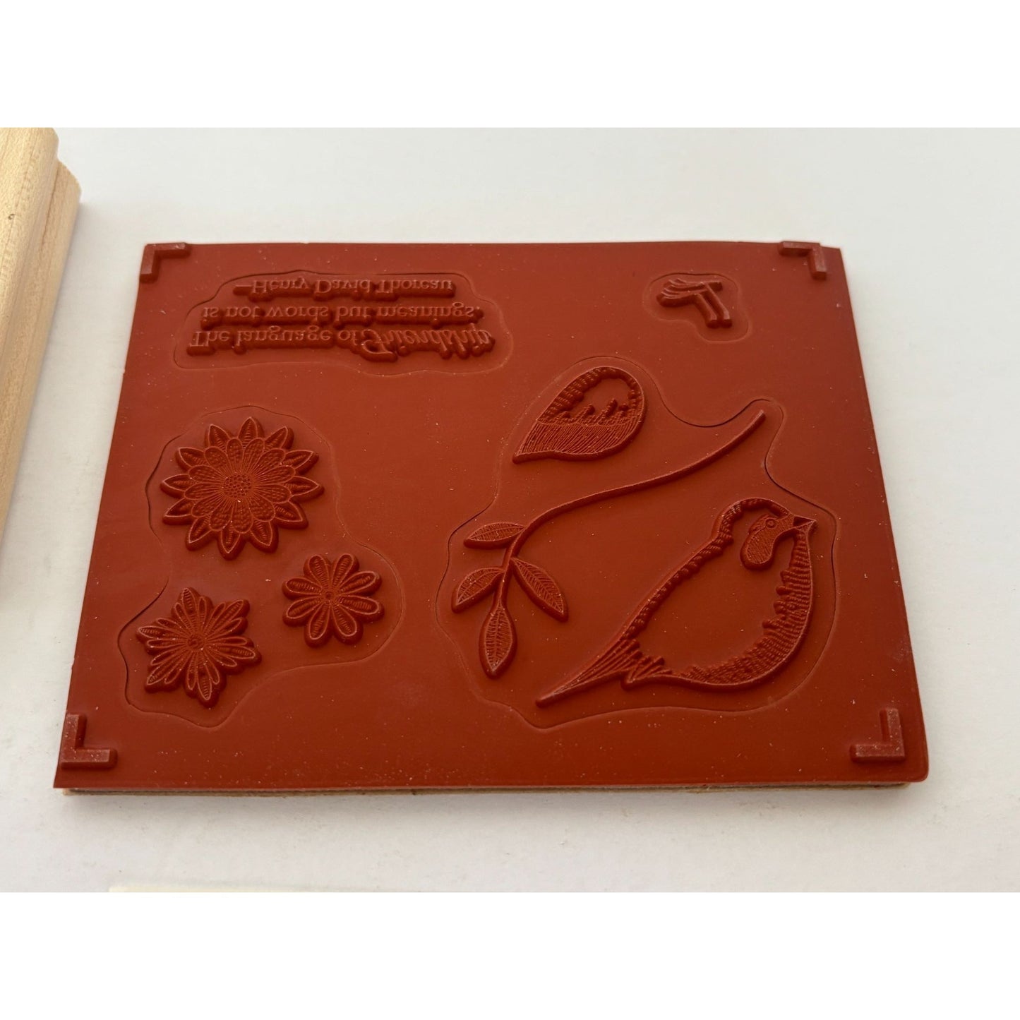 Stampin Up Rubber Stamp Set Language Of Friendship Bird Wing Quote Card Making