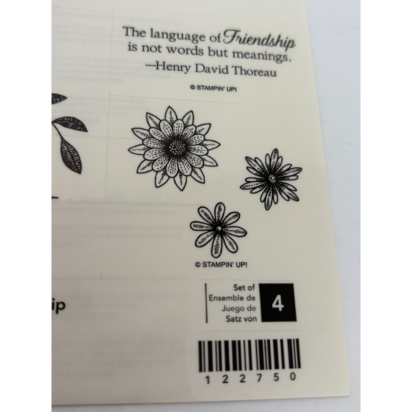 Stampin Up Rubber Stamp Set Language Of Friendship Bird Wing Quote Card Making
