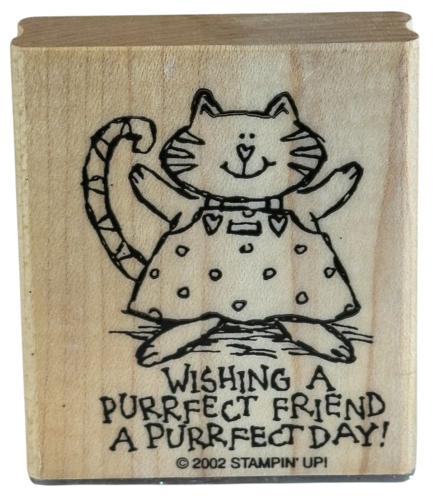 Stampin Up Rubber Stamp Wishing A Purrfect Day Friendship Cat Perfect Pun Words