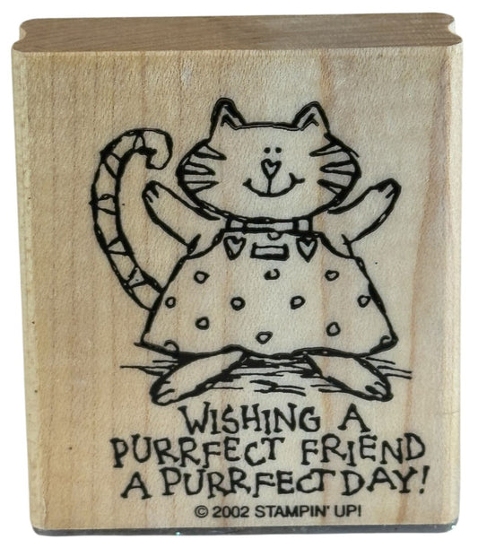 Stampin Up Rubber Stamp Wishing A Purrfect Day Friendship Cat Perfect Pun Words