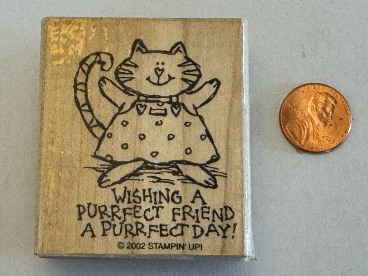 Stampin Up Rubber Stamp Wishing A Purrfect Day Friendship Cat Perfect Pun Words