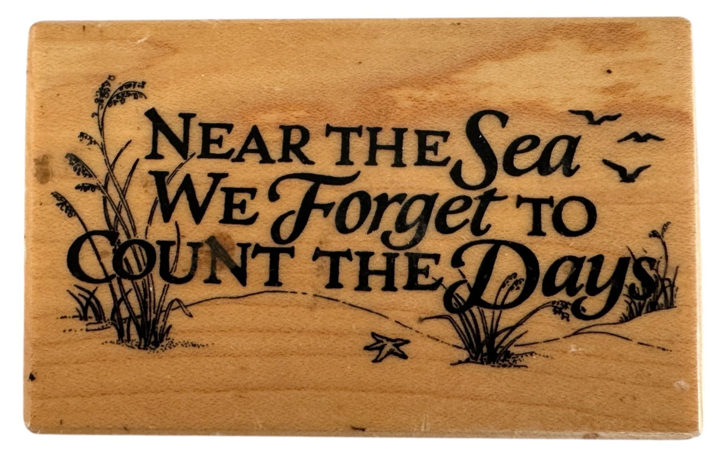 PSX Rubber Stamp Near The Sea We Forget To Count The Days Beach Relaxation G-1481