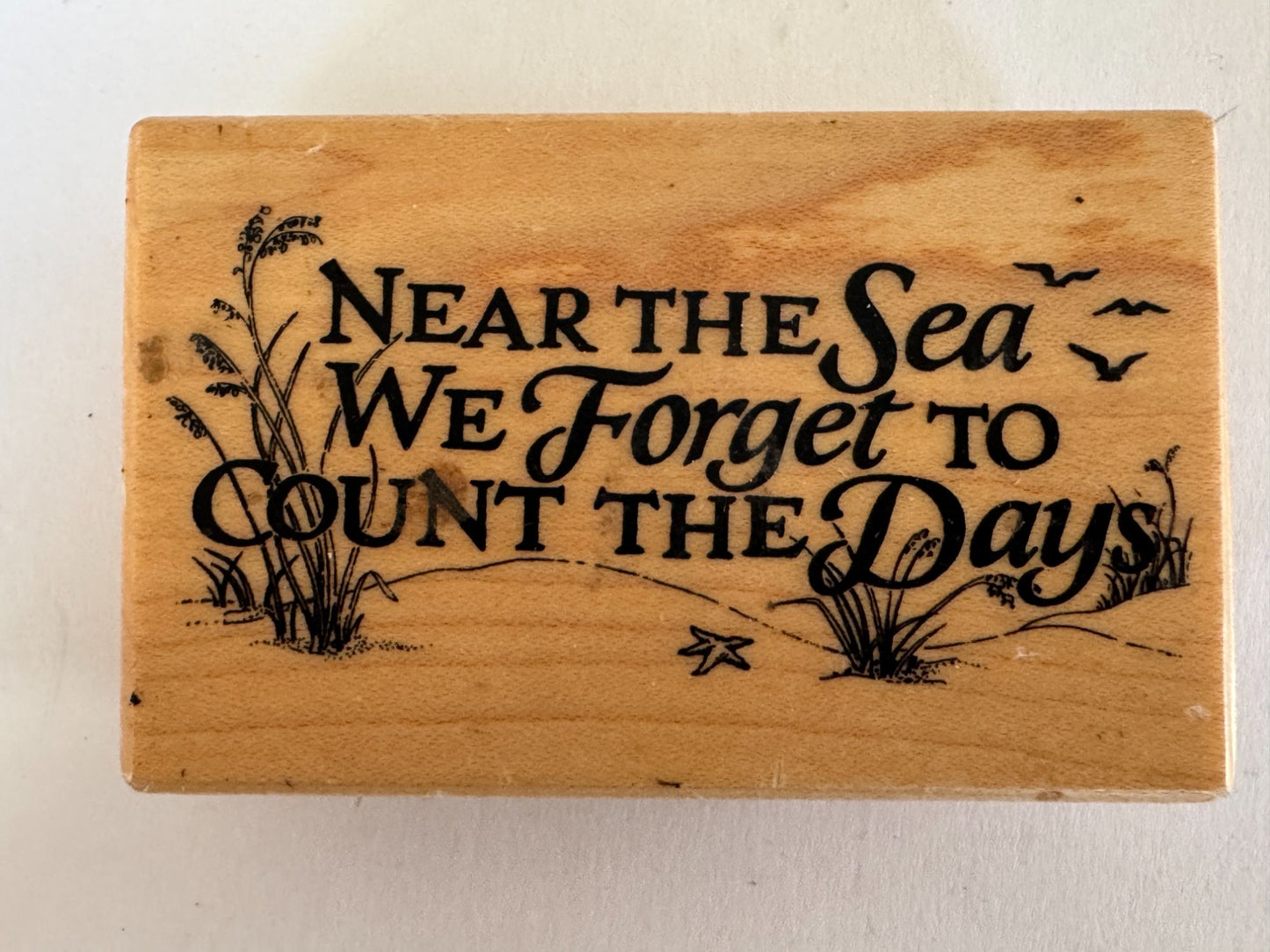 PSX Rubber Stamp Near The Sea We Forget To Count The Days Beach Relaxation G-1481