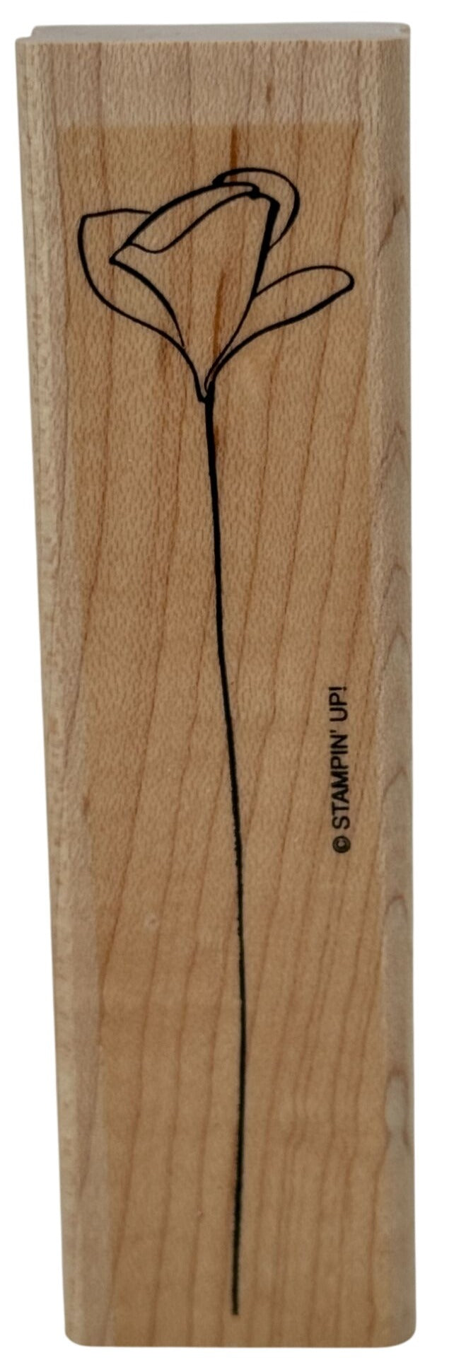 Stampin Up Rubber Stamp Floral Line Art Design Long Stemmed Flower Spring Garden