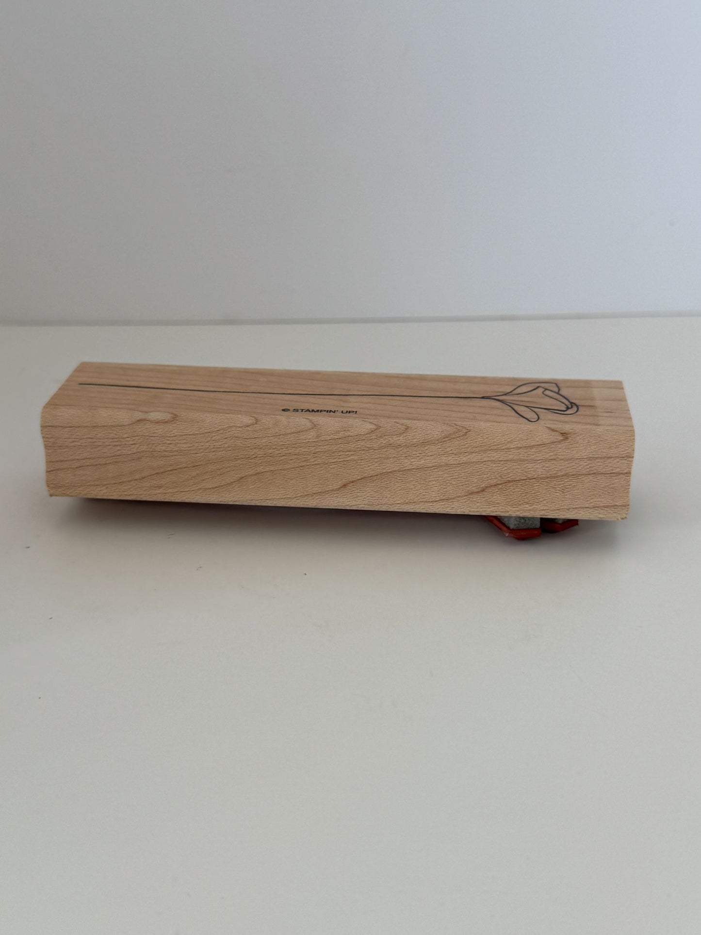 Stampin Up Rubber Stamp Floral Line Art Design Long Stemmed Flower Spring Garden