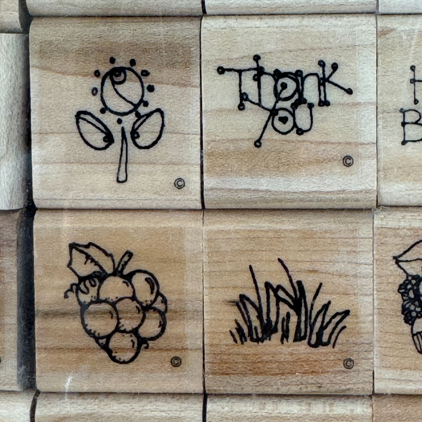 Close To My Heart Wooden Rubber Stamp Set 26 Fruit To From Birthday Pig Small