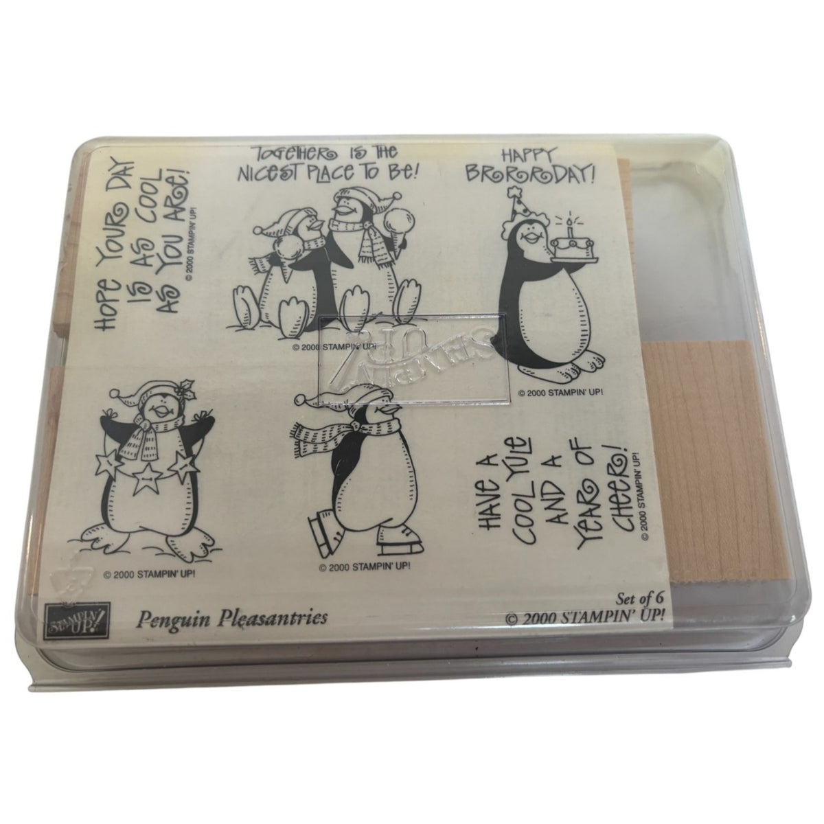 Stampin Up Rubber Stamp Set Penguin Pleasantries Funny Birthday Card Making Pun