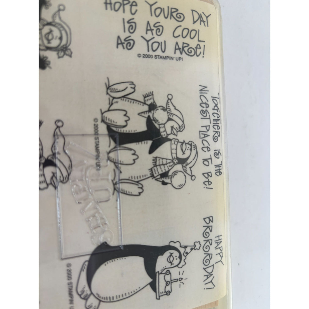Stampin Up Rubber Stamp Set Penguin Pleasantries Funny Birthday Card Making Pun