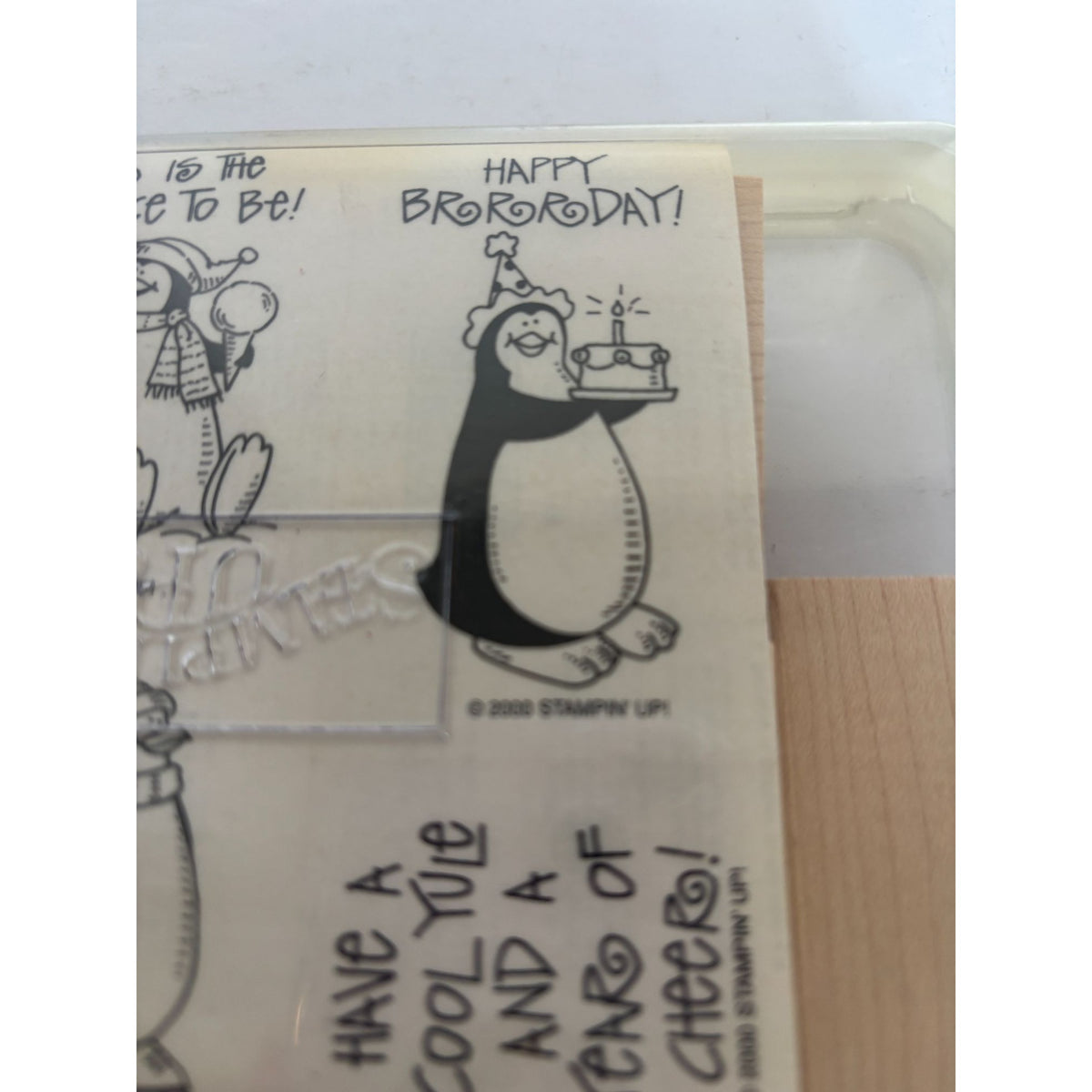 Stampin Up Rubber Stamp Set Penguin Pleasantries Funny Birthday Card Making Pun