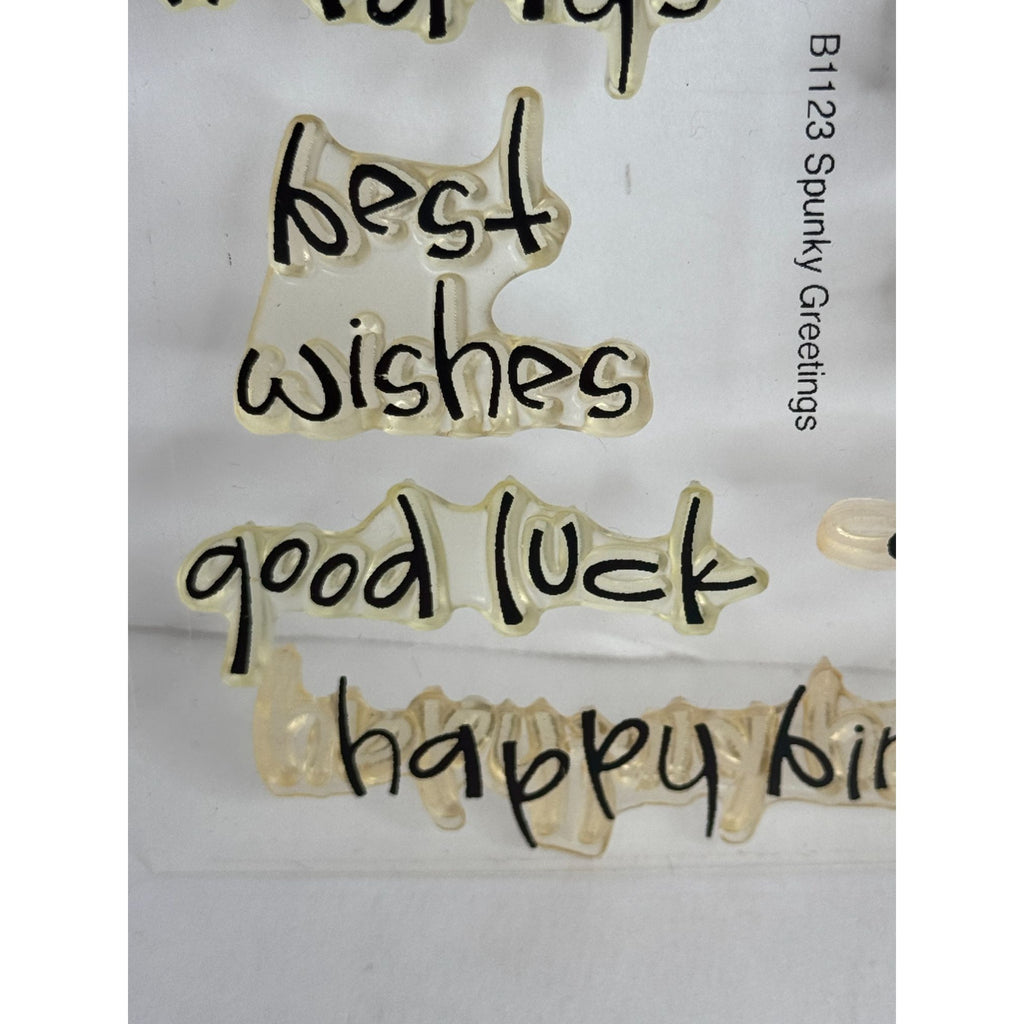 CTMH My Acrylix Clear Stamp Set Spunky Greetings Card Making Good Luck Get Well
