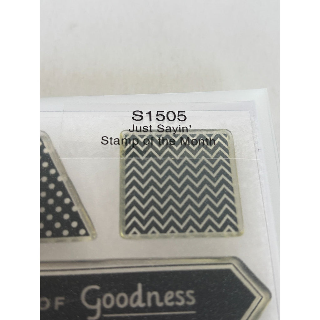 CTMH Acrylic Stamp Set Just Saying Date Polka Dots Chevron Shape Word My Acrylix