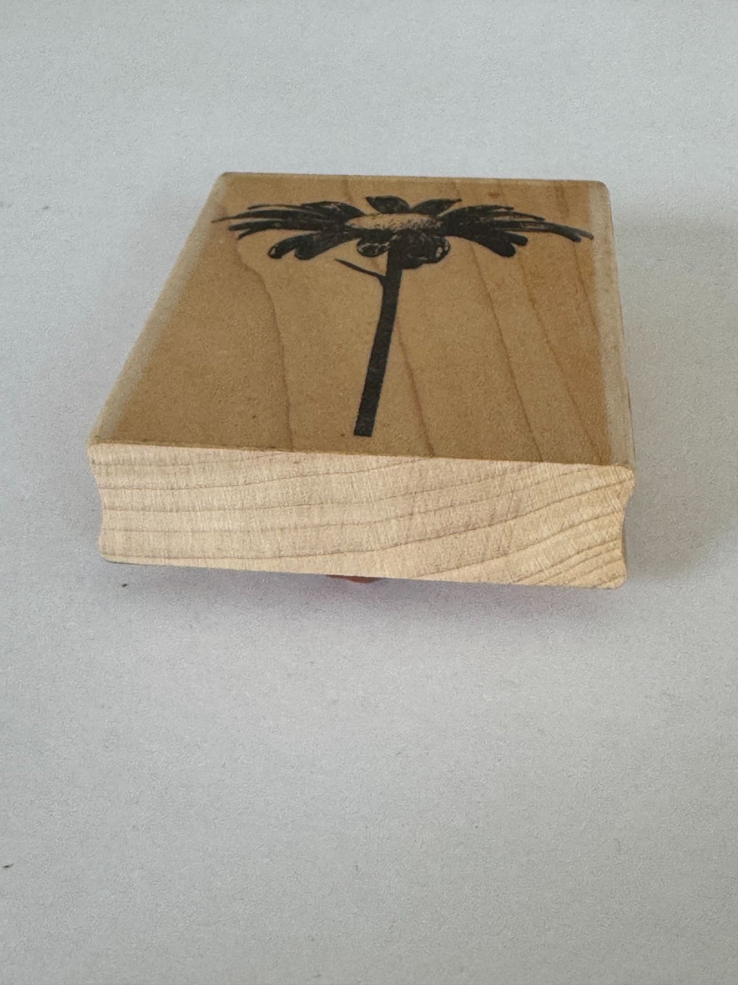 Impression Obsession Rubber Stamp Single Daisy Print Spring Garden Card Making