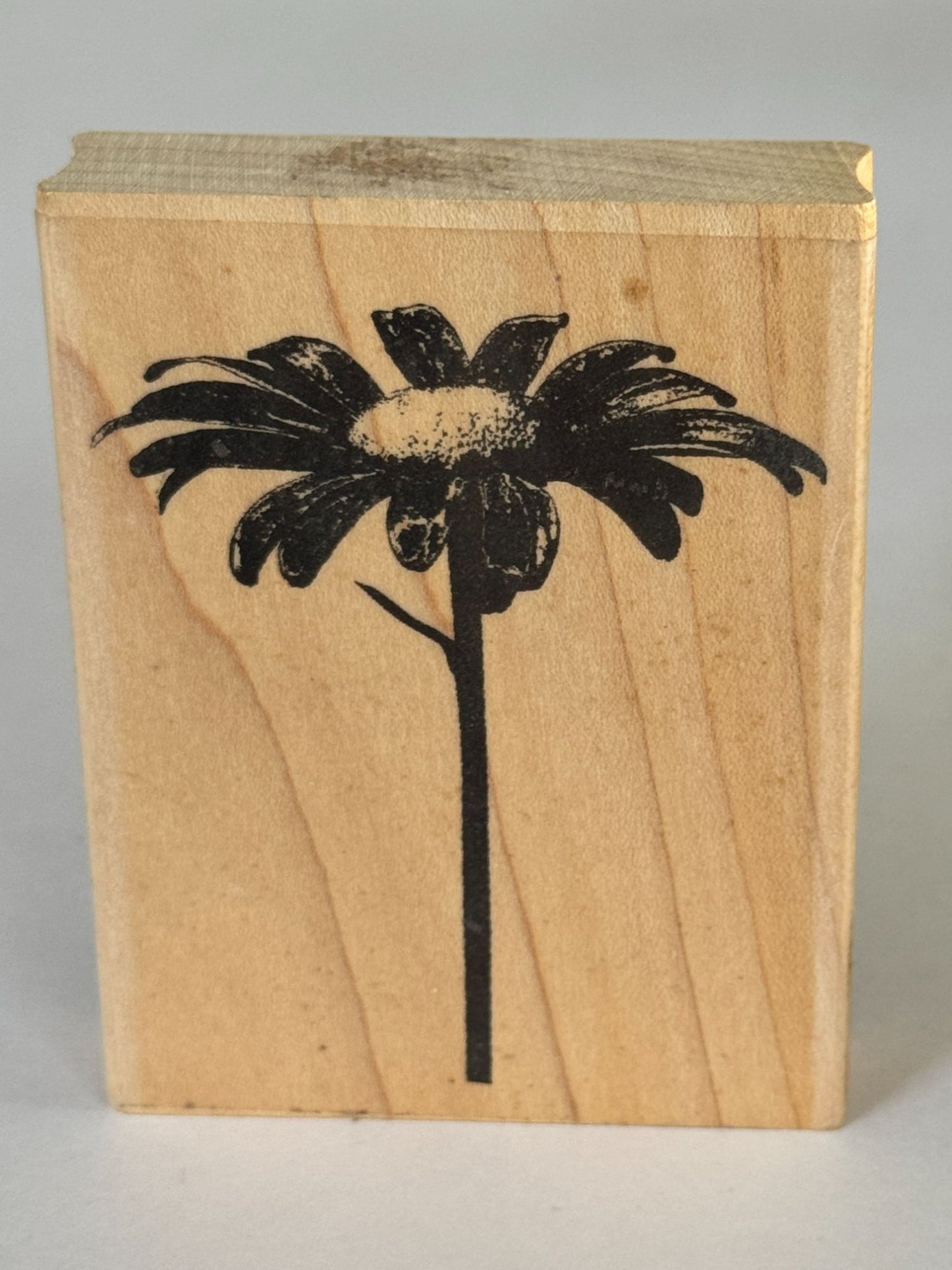 Impression Obsession Rubber Stamp Single Daisy Print Spring Garden Card Making