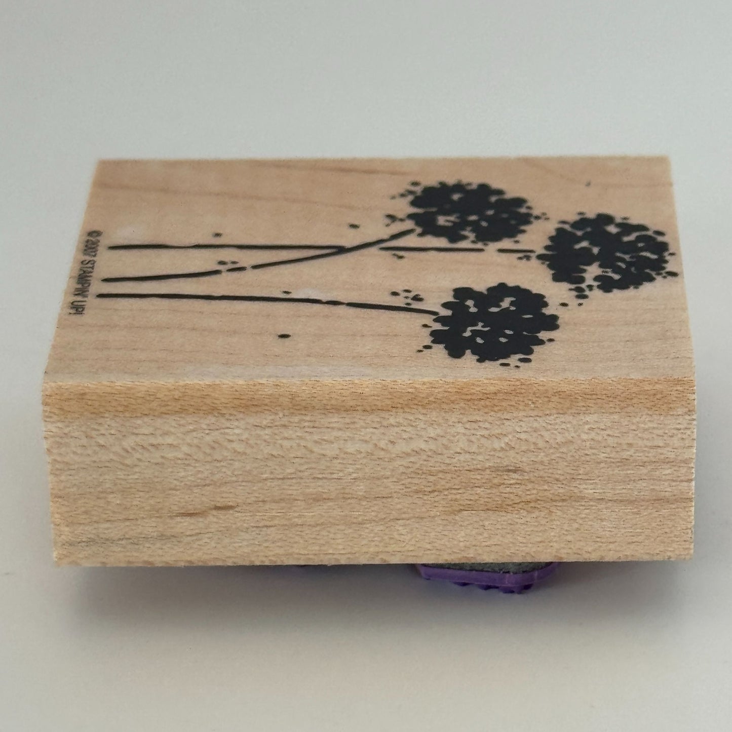 Stampin Up Rubber Stamp Flowers Floral Silhouette Garden Scrapbooking Cardmaking