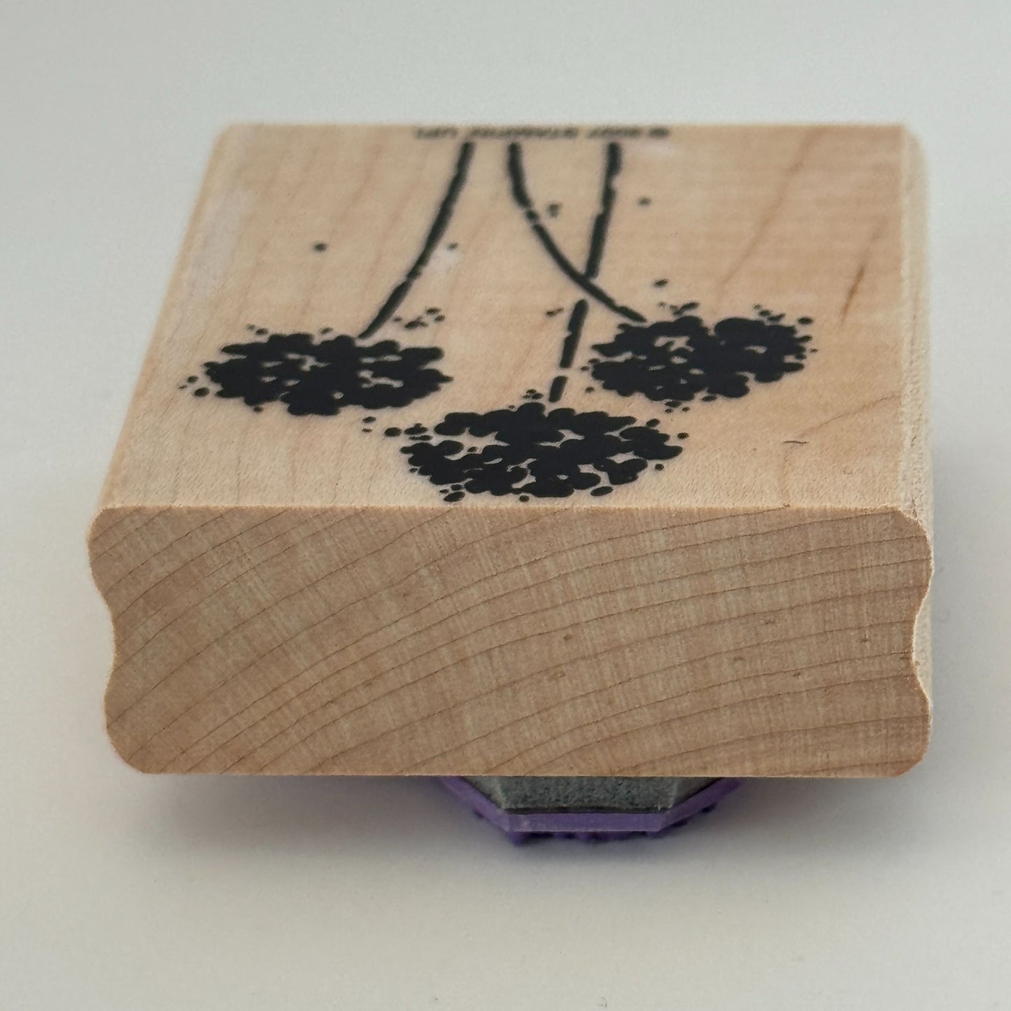 Stampin Up Rubber Stamp Flowers Floral Silhouette Garden Scrapbooking Cardmaking