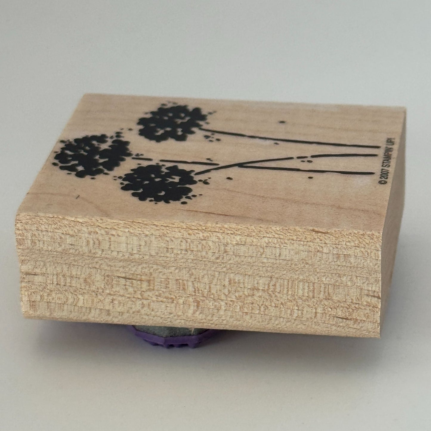 Stampin Up Rubber Stamp Flowers Floral Silhouette Garden Scrapbooking Cardmaking