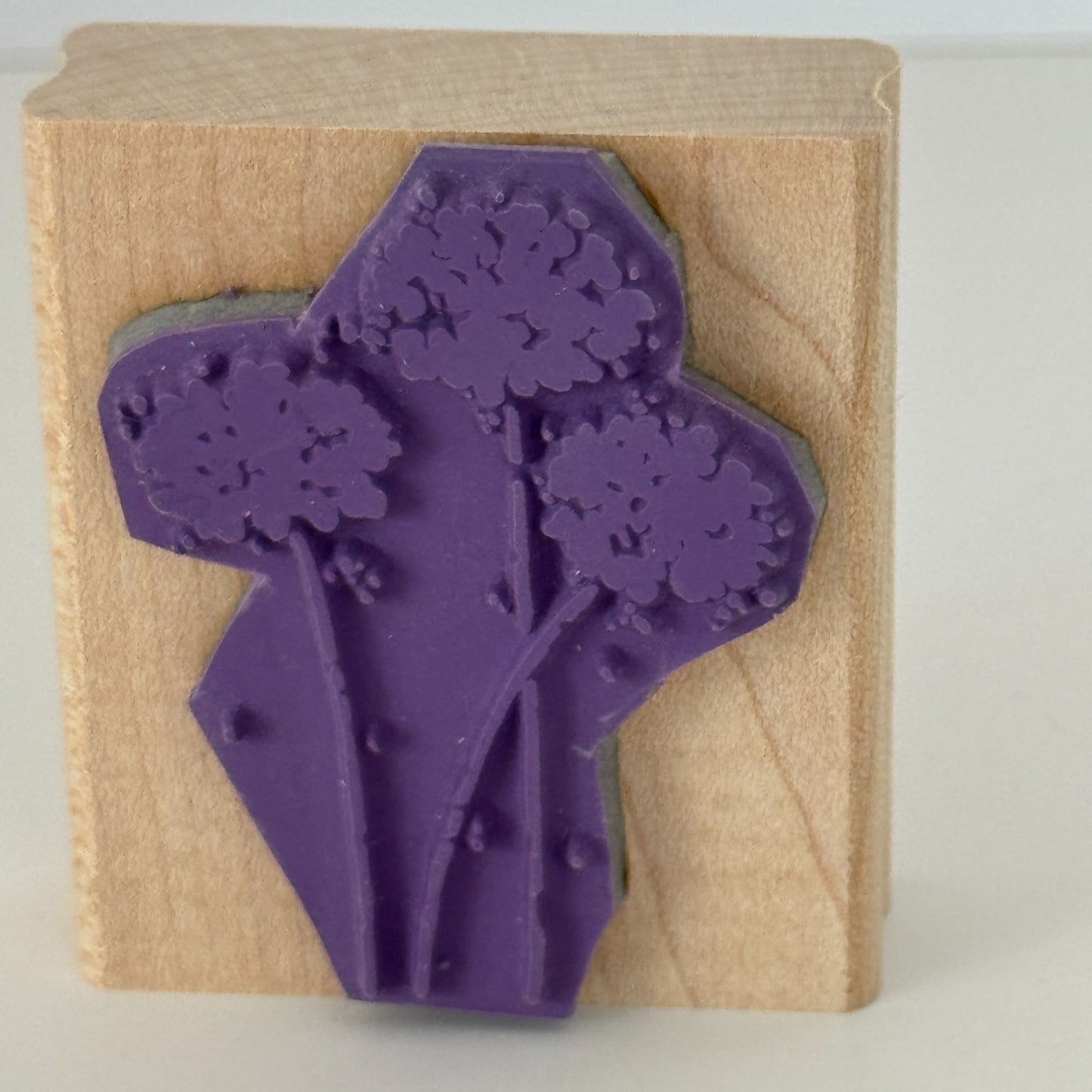 Stampin Up Rubber Stamp Flowers Floral Silhouette Garden Scrapbooking Cardmaking
