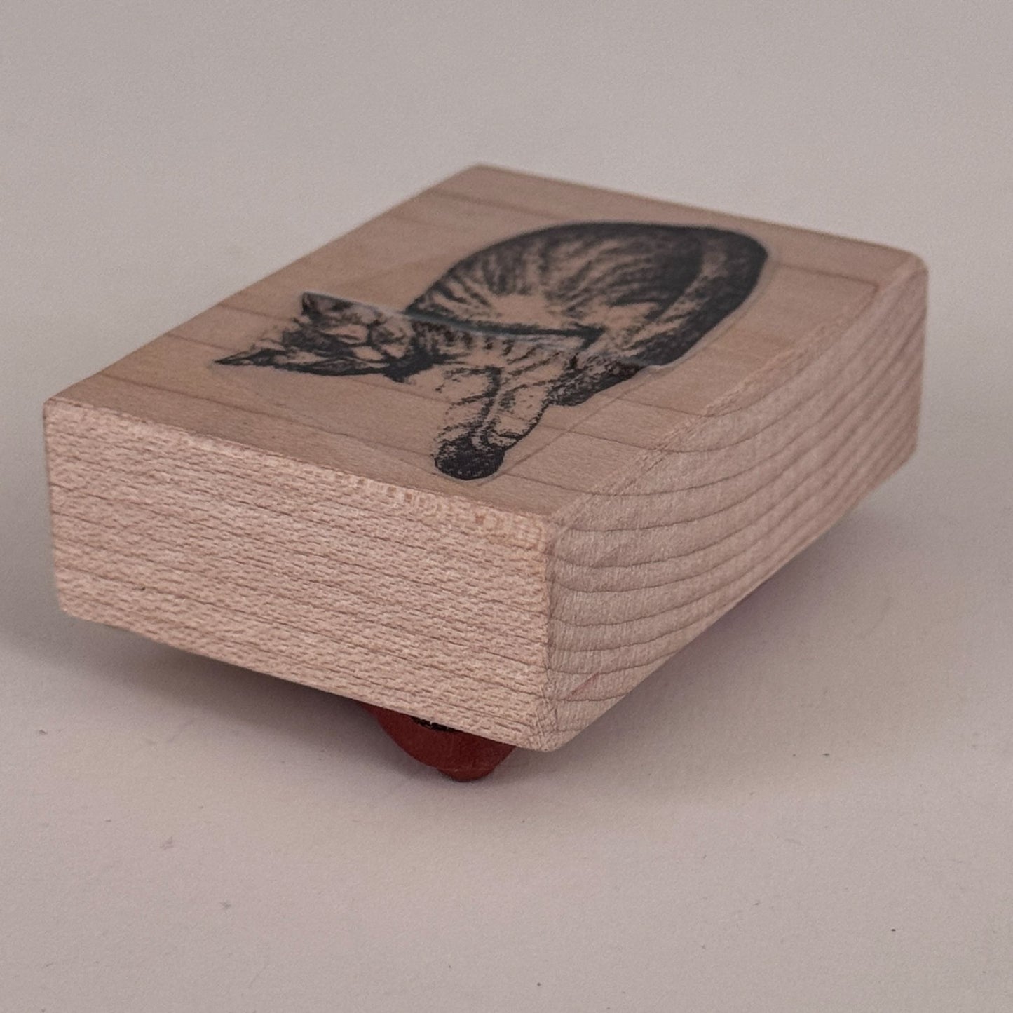 Dragonfly Laser Rubber Stamp Sleepy Cat Sleeping Pet Animal Journal Craft Cardmaking
