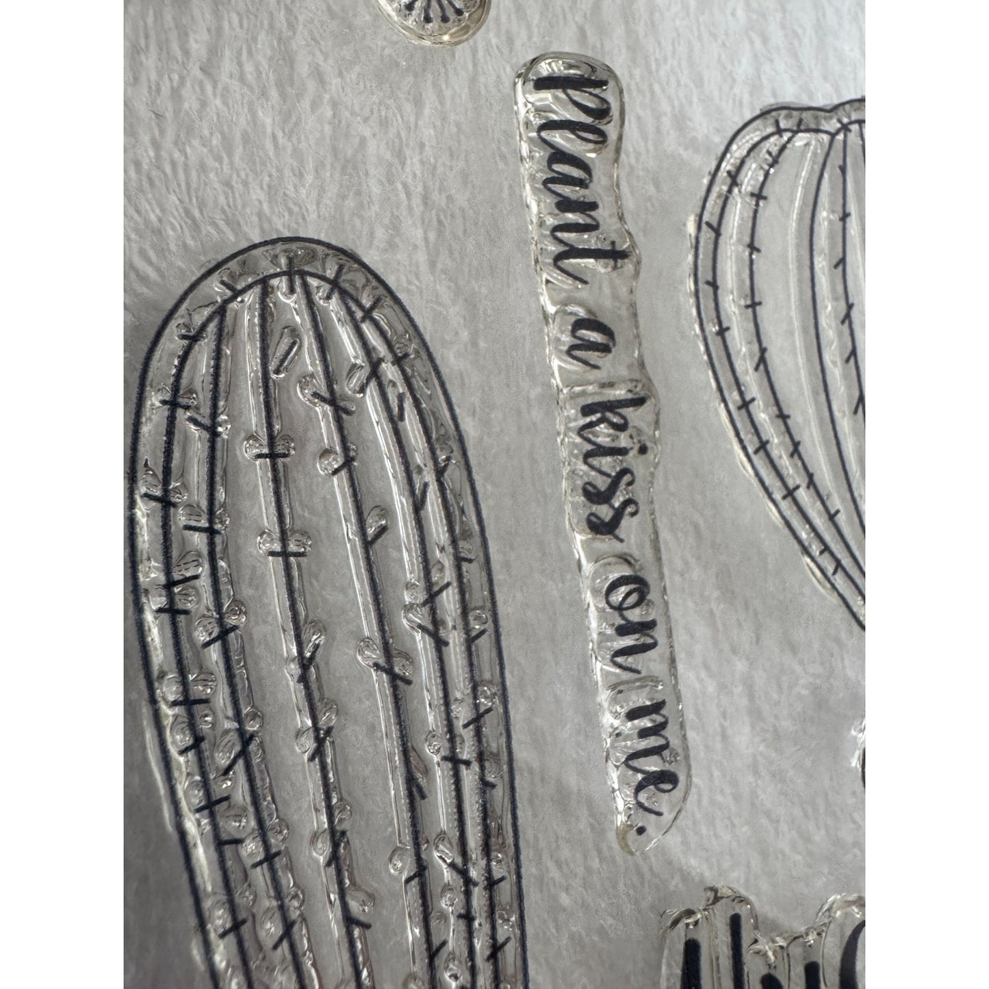 CTMH My Acrylix Acrylic Stamp Set Stuck on You Cactus Hug Me Plant a Kiss C1643