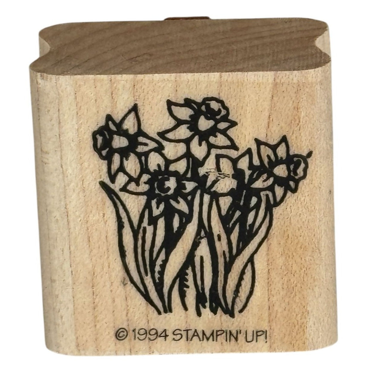 Stampin Up Rubber Stamp Daffodils Flowers Floral Easter Spring Card Making Craft