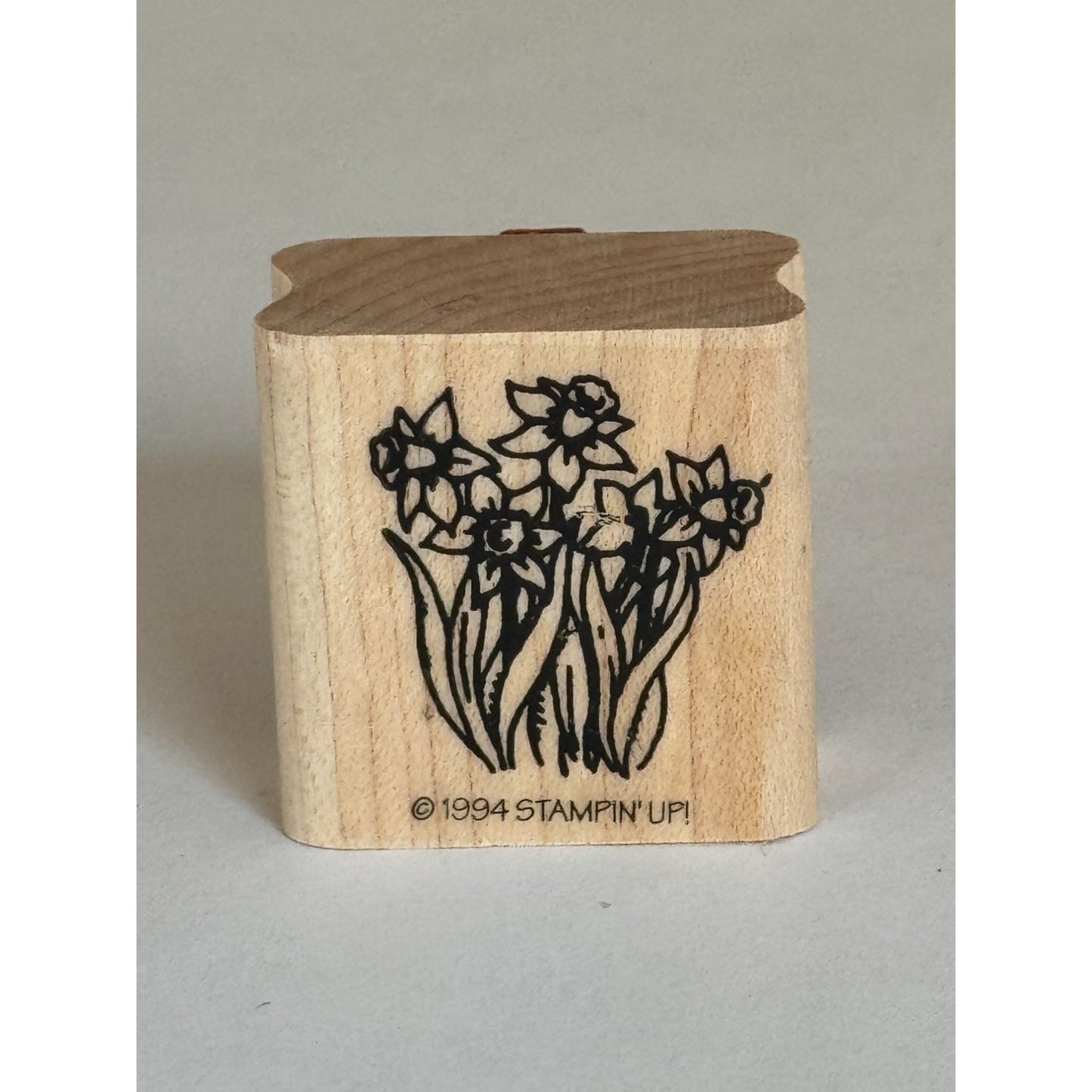 Stampin Up Rubber Stamp Daffodils Flowers Floral Easter Spring Card Making Craft