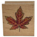 All Night Media Rubber Stamp Maple Leaf Autumn Fall Thanksgiving Wood Mounted Craft Nature