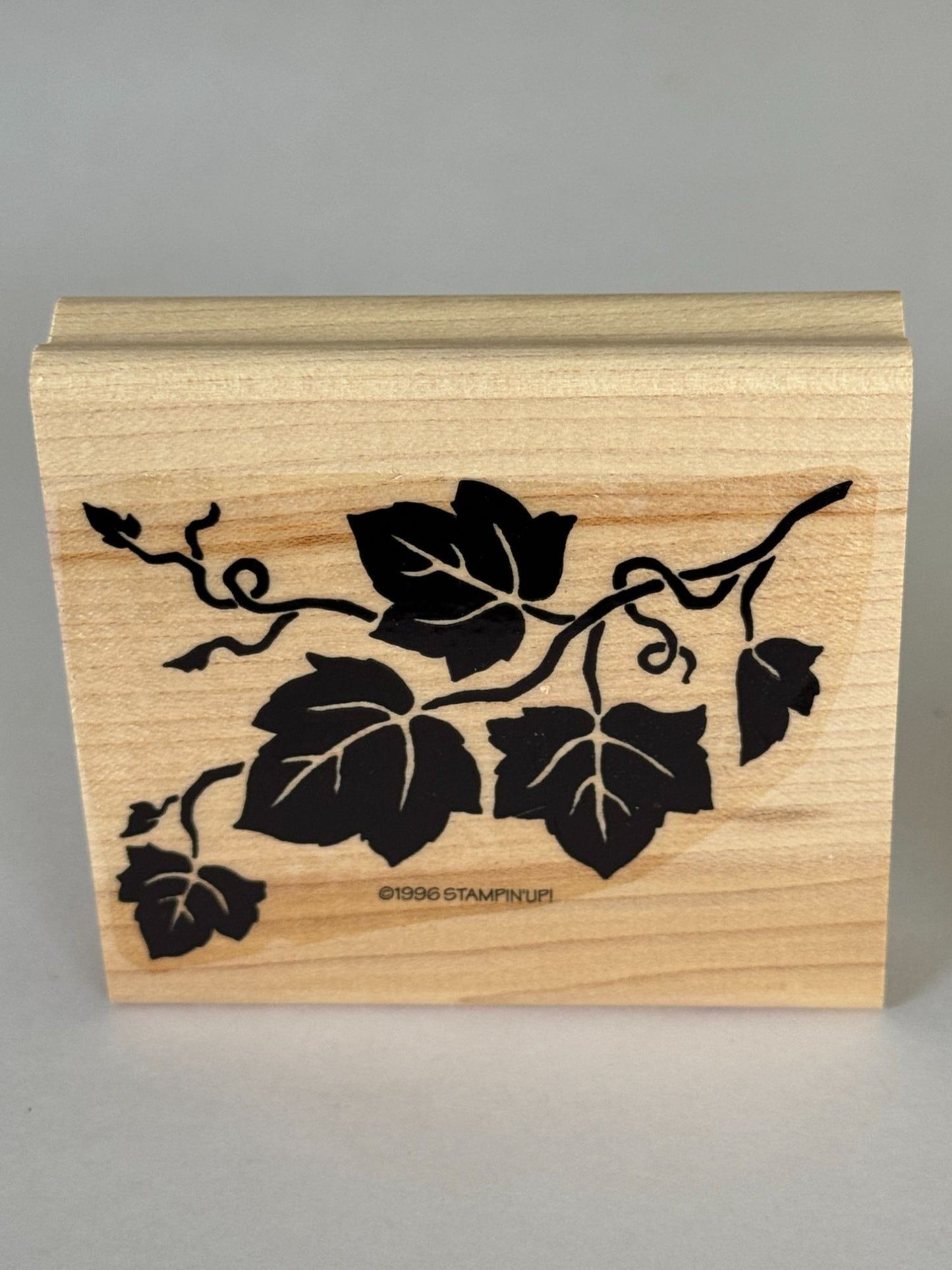 Stampin Up Rubber Stamps Set Definitely Decorative Grapes Wine Making Vineyard