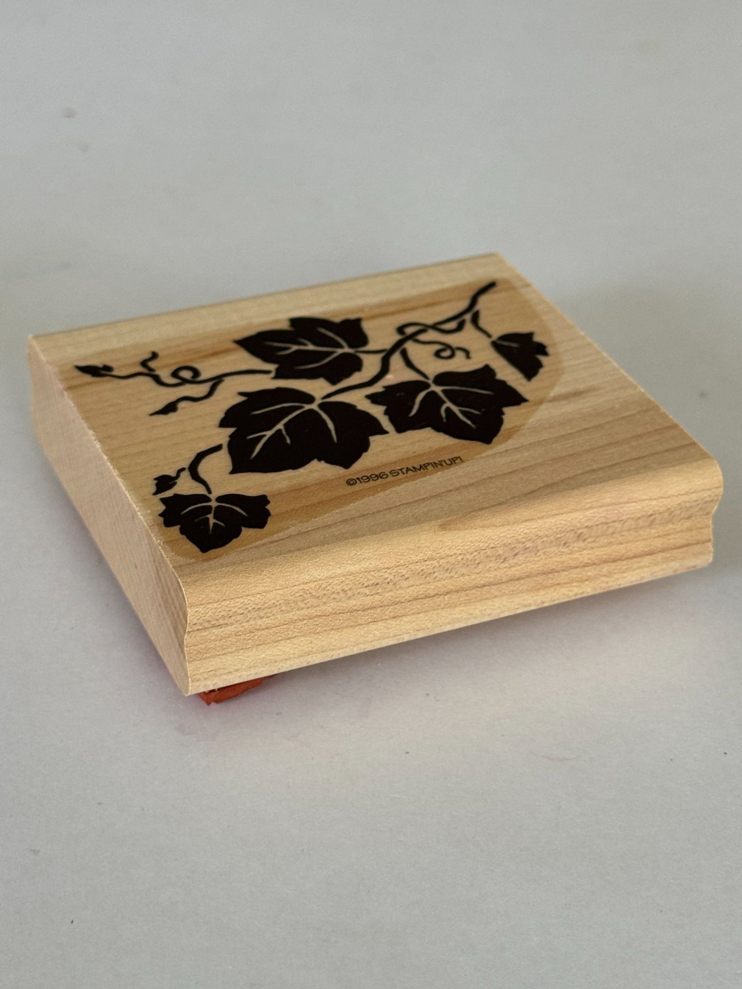 Stampin Up Rubber Stamps Set Definitely Decorative Grapes Wine Making Vineyard