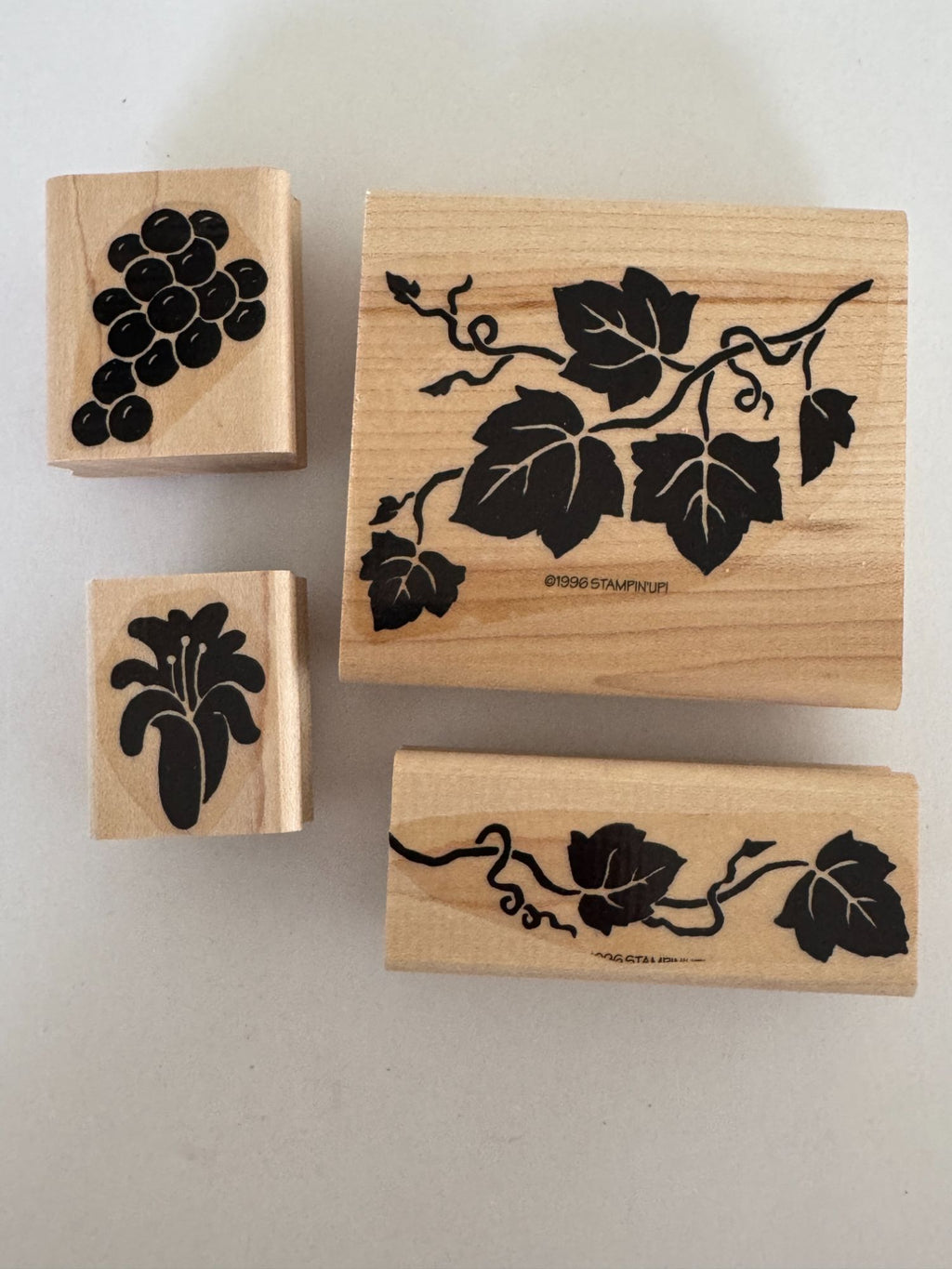 Stampin Up Rubber Stamps Set Definitely Decorative Grapes Wine Making Vineyard