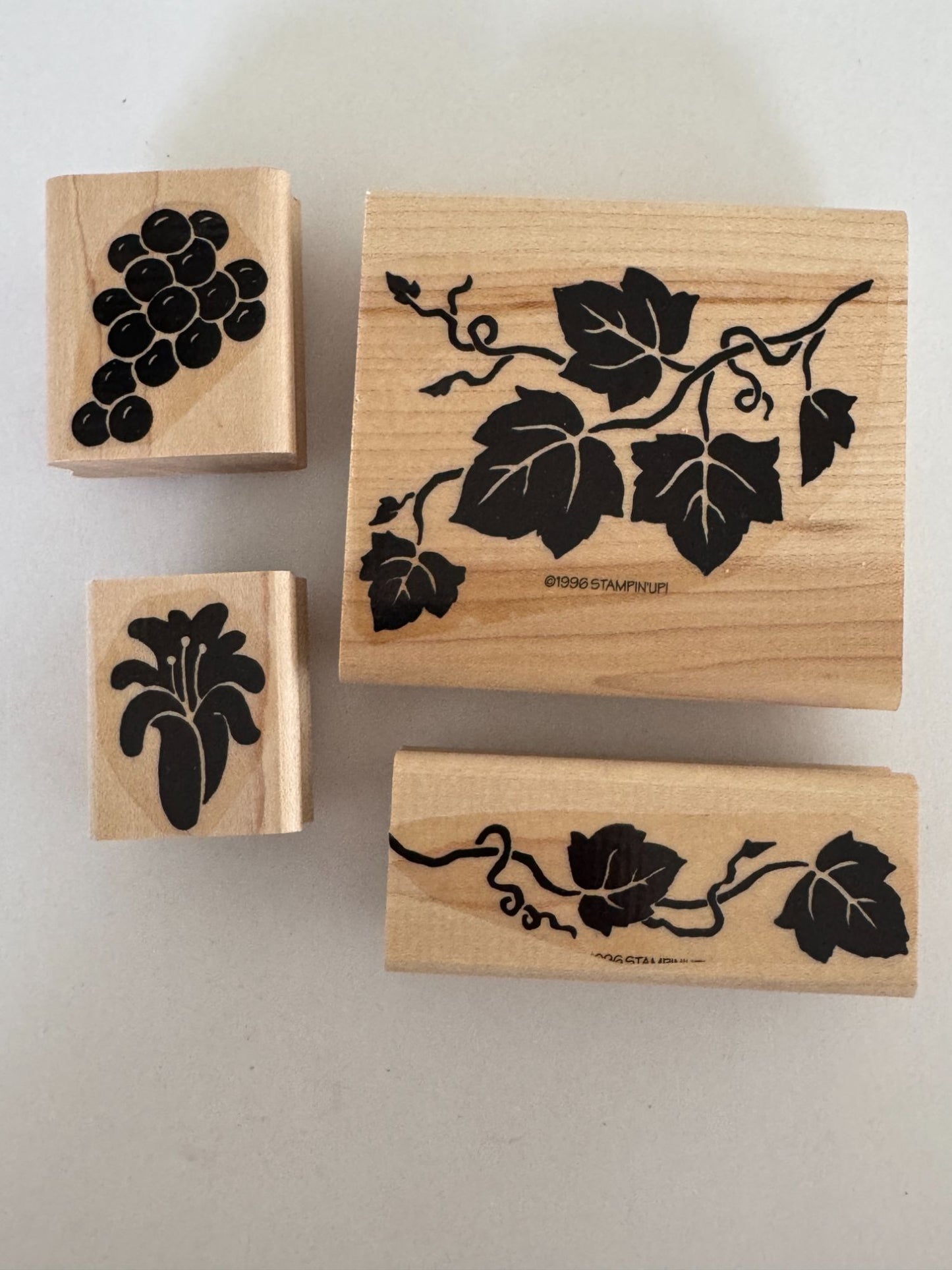 Stampin Up Rubber Stamps Set Definitely Decorative Grapes Wine Making Vineyard