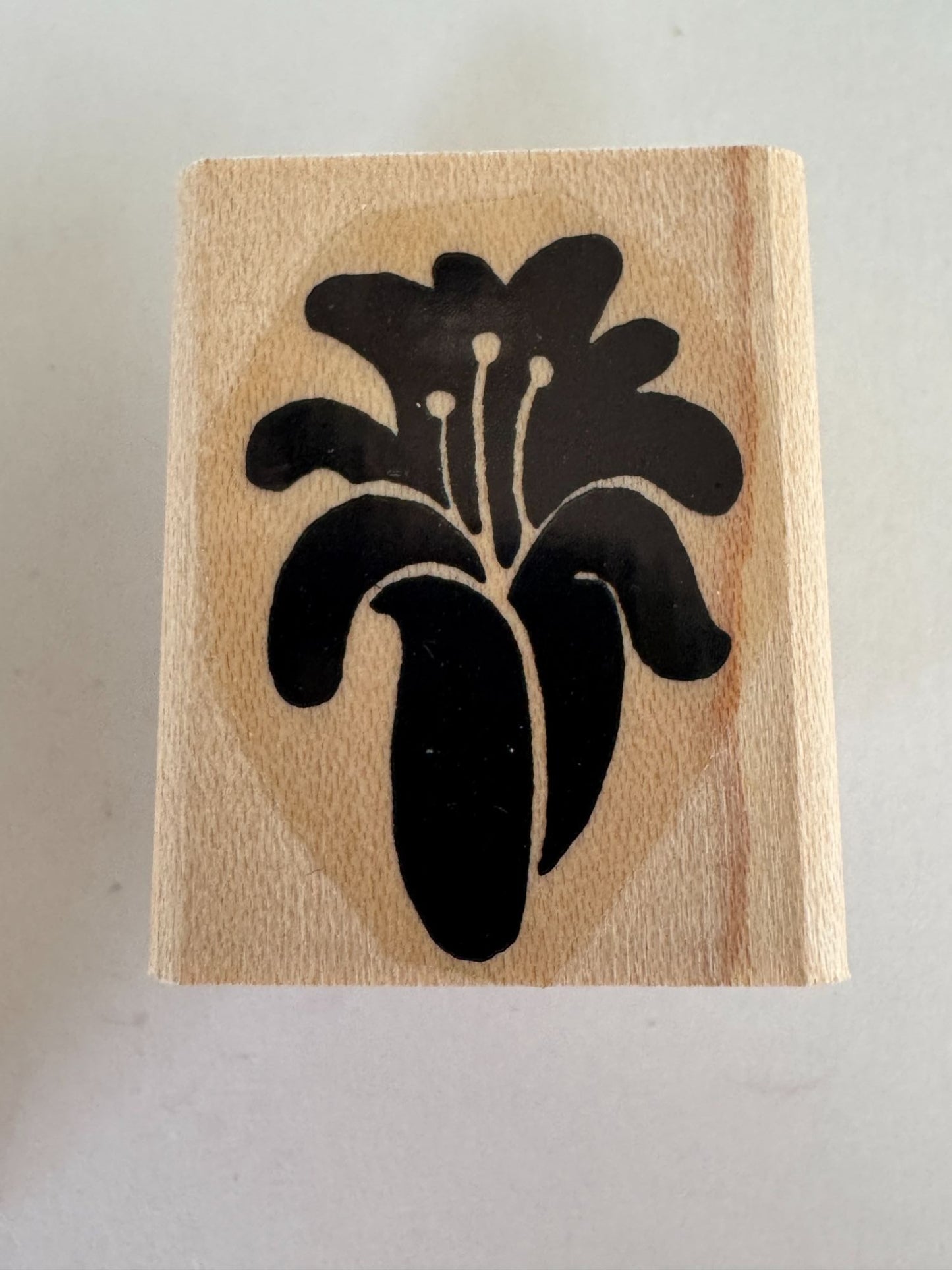 Stampin Up Rubber Stamps Set Definitely Decorative Grapes Wine Making Vineyard