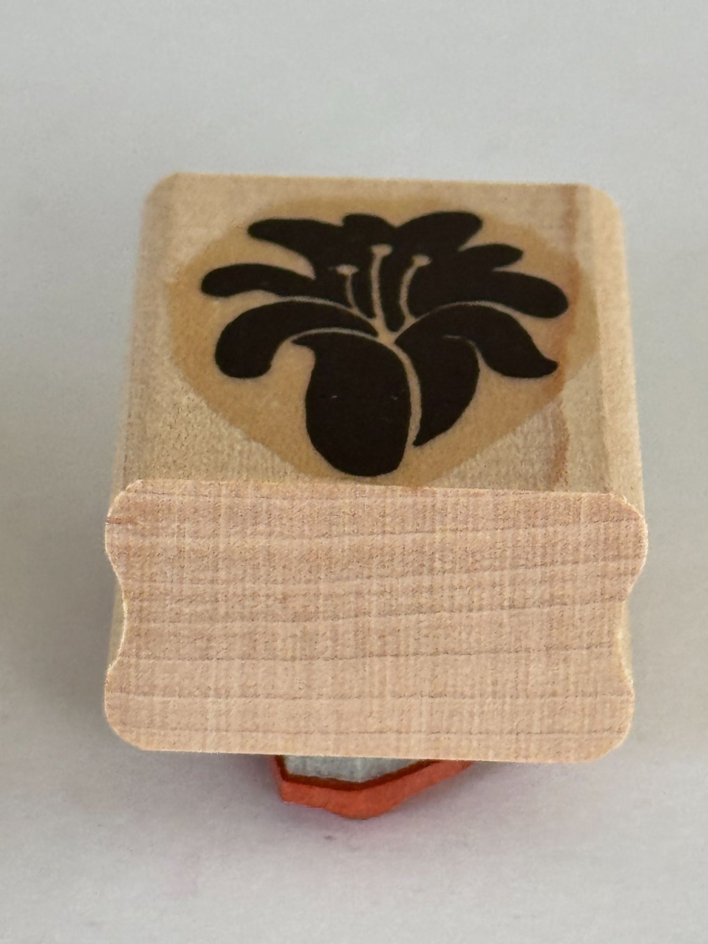 Stampin Up Rubber Stamps Set Definitely Decorative Grapes Wine Making Vineyard
