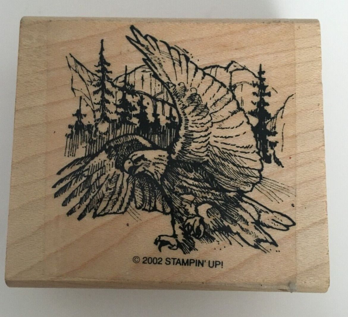 Stampin Up Rubber Stamp Bald Eagle Wildlife Mountain Forest Mountains Patriotic Wood Mounted RARE