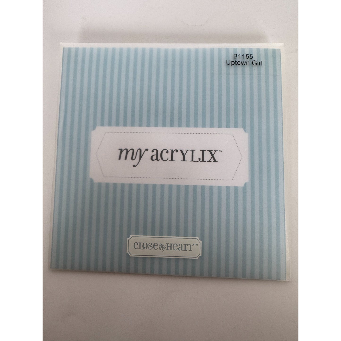 CTMH My Acrylix Acrylic Stamp Set Uptown Girl Dog Walking Lady Card Making B1155