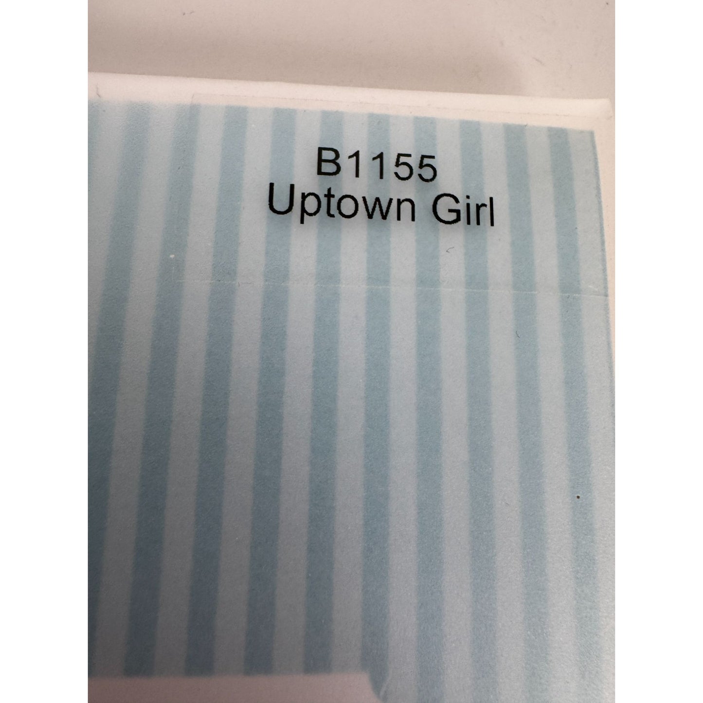 CTMH My Acrylix Acrylic Stamp Set Uptown Girl Dog Walking Lady Card Making B1155