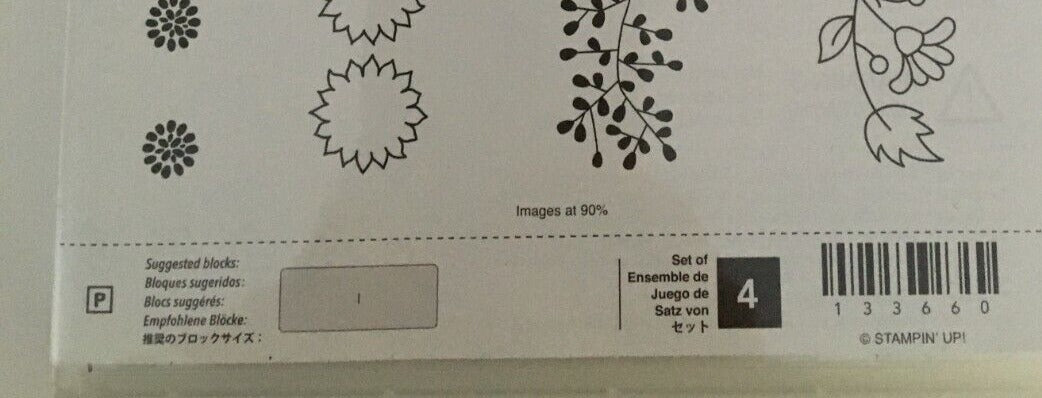 Stampin Up Bordering Blooms Photopolymer Clear Stamps Spring Summer Card Making