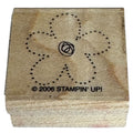 Stampin Up Rubber Stamp Dotted Wild Flower Top Outline Spring Garden Card Making