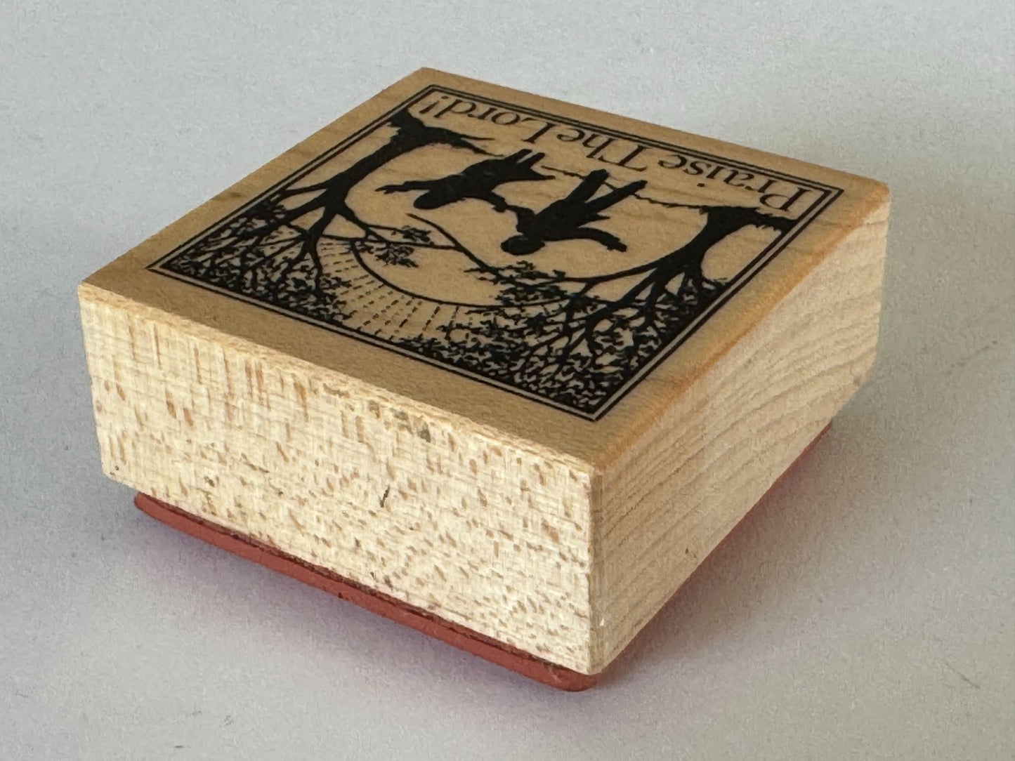 PSX Rubber Stamp Praise The Lord Silhouette Children Religious Christian E-933