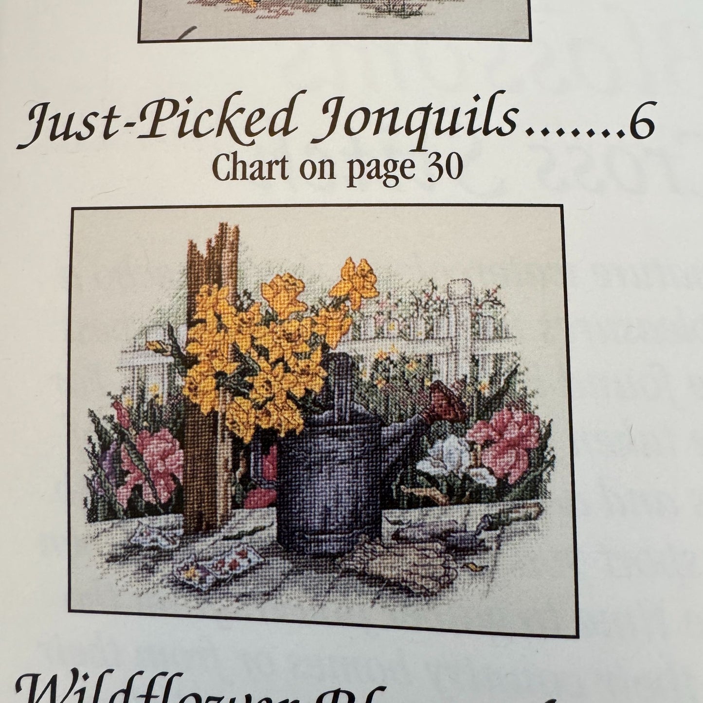 Leisure Arts Cross Stitch Patterns Paula Vaughan Bouquets Blossoms Book 63 2942