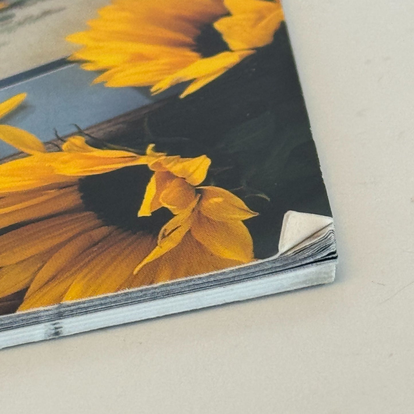 Leisure Arts Cross Stitch Patterns Paula Vaughan Bouquets Blossoms Book 63 2942